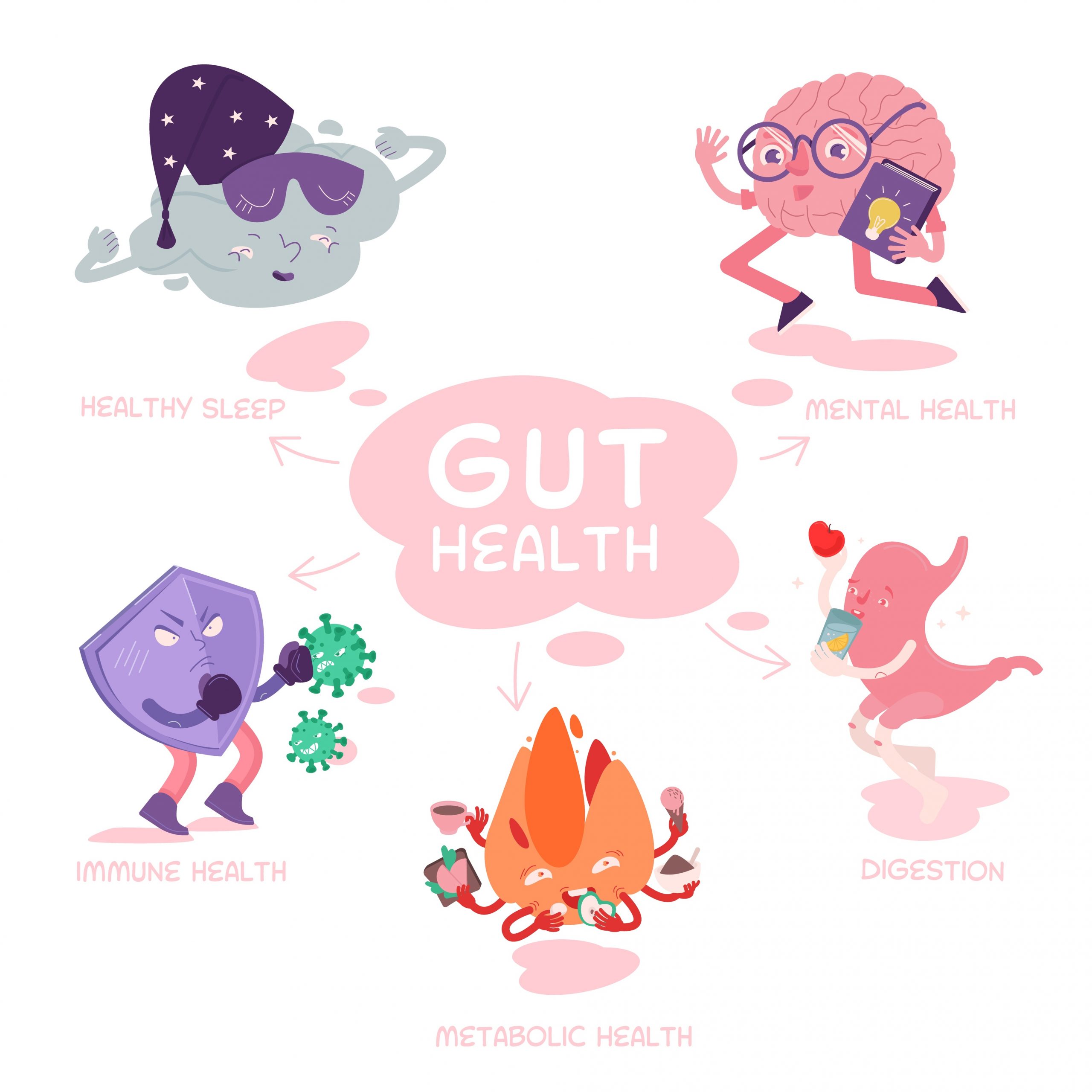 The Gut Has Many Different Roles 